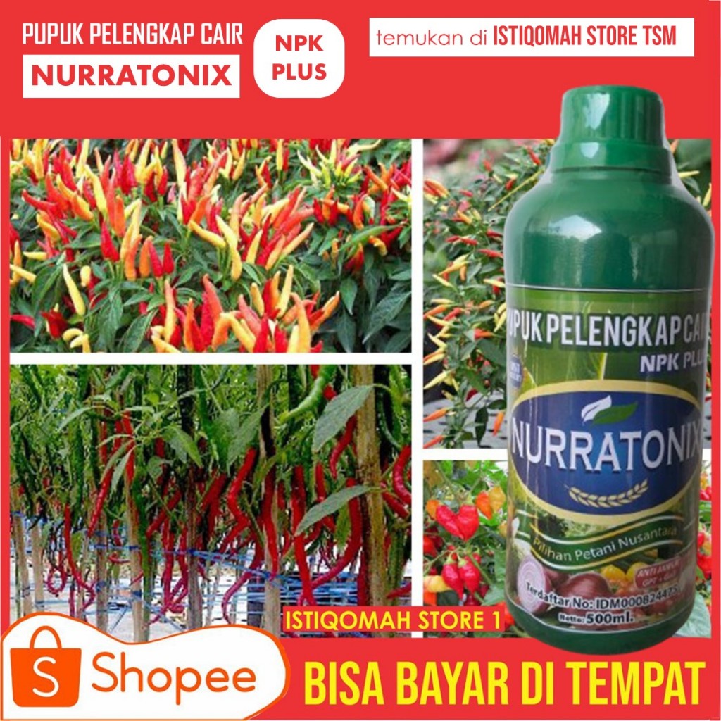 Pupuk Organik Merangsang Cabe Lebat, Pupuk Pelebat Buah Cabe Terbaik, Cabai Lebat NPK NURRATONIX