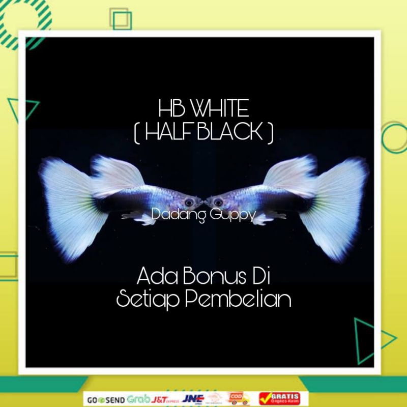 

Packing Styrofoam ( Hb White )