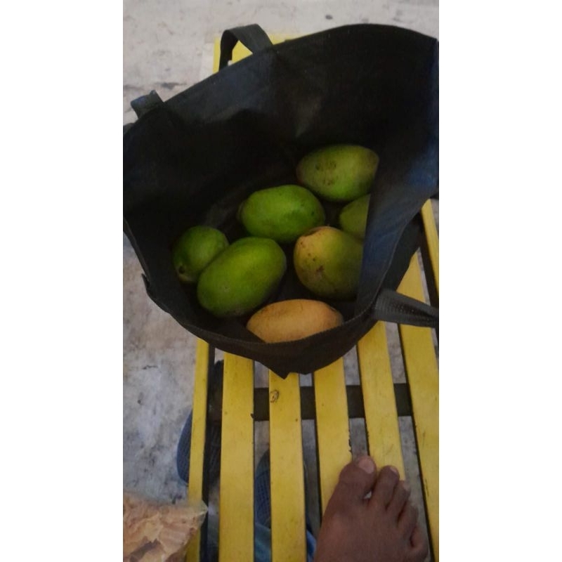 

mangga manalagi