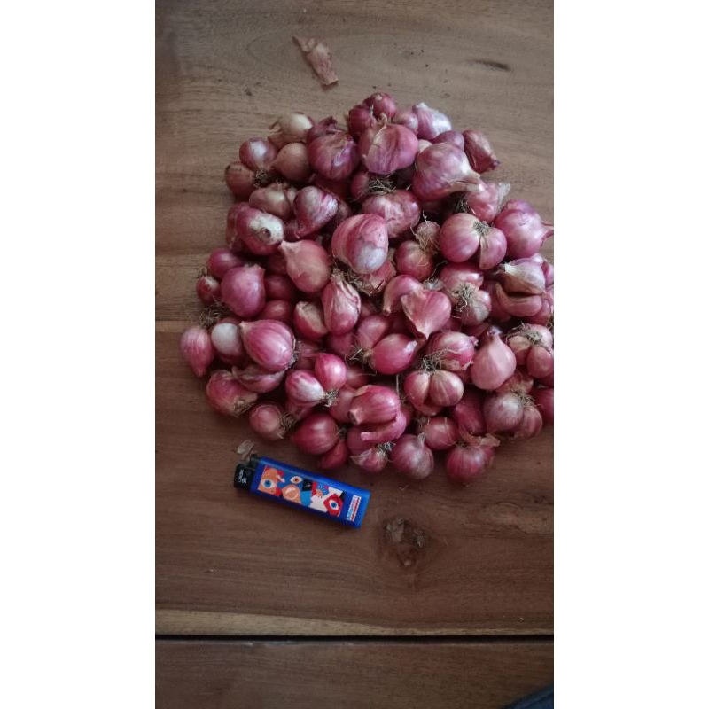 

bawang merah