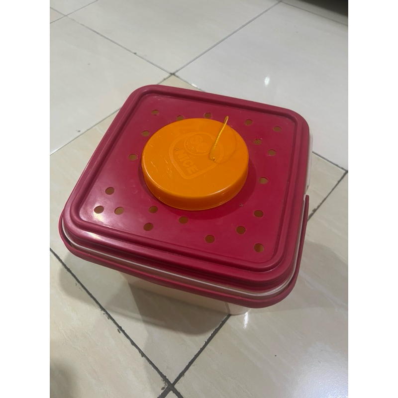 tempat box udang mancing celup