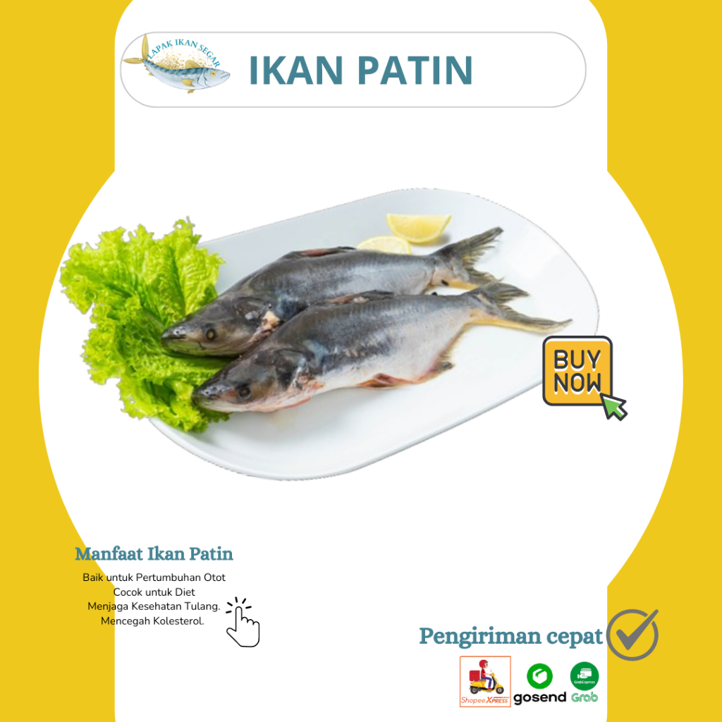 

Ikan Patin Segar 1Kg Siap kirim instan