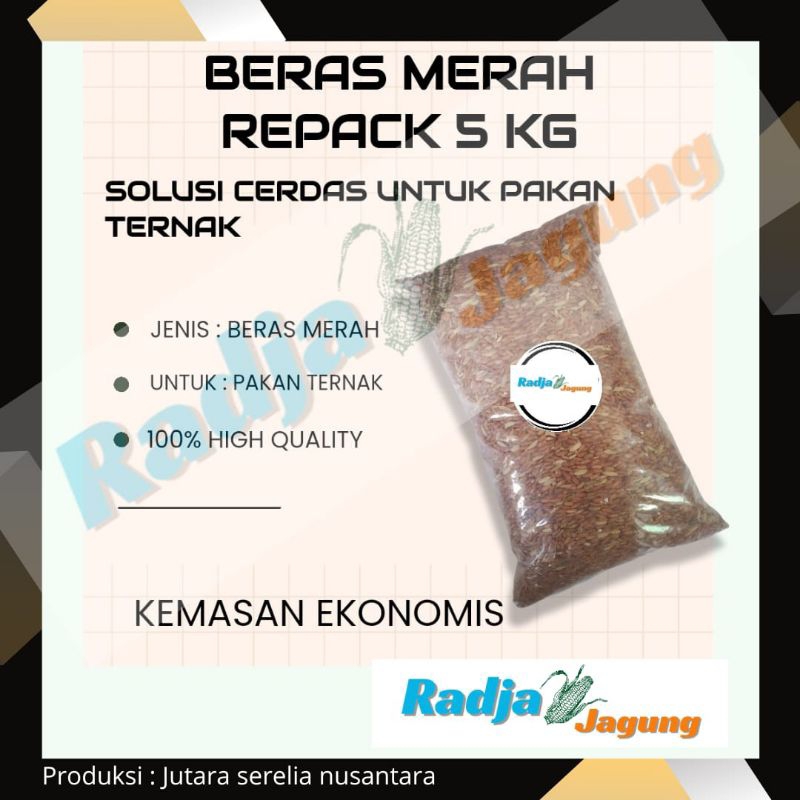 beras merah pakan Bangkok campuran pakan ayam pakan burung