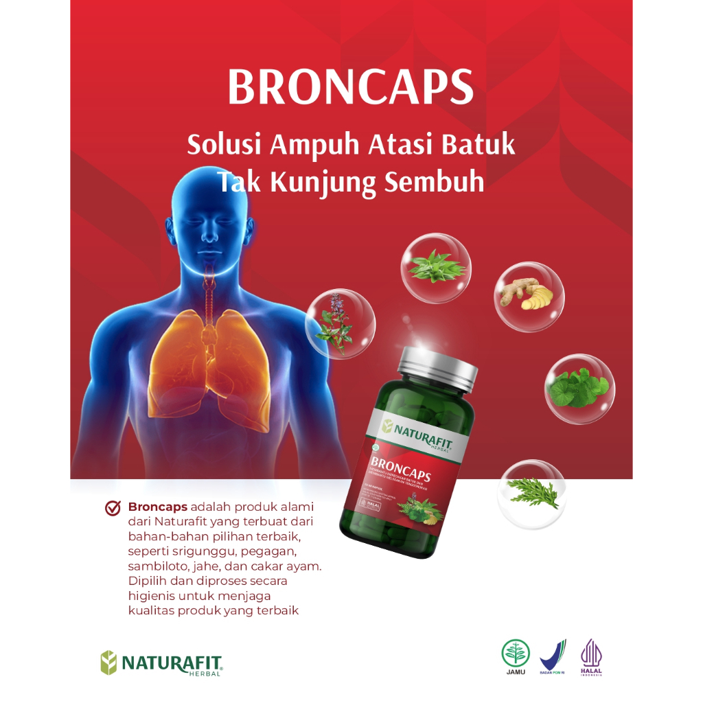 Broncaps obat batuk tidak berdahak tradisiona lyang ampuh untuk flu dan batuk berdahak dewasa