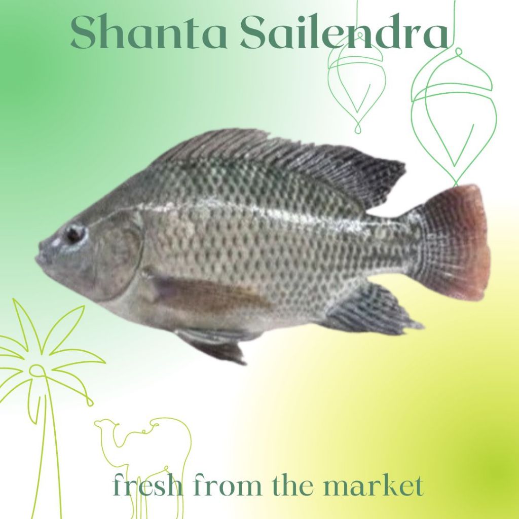 

IKAN NILA SEGAR 1 KG