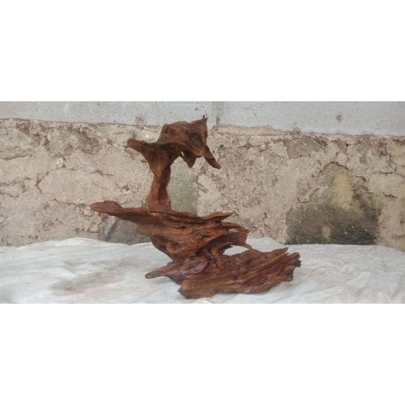 kayu rentek Aquascape tenggelam