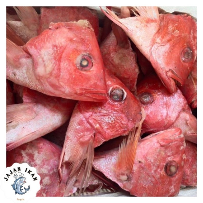 

[JAJAN IKAN] Kepala Ikan Kakap Sawo 1 KG