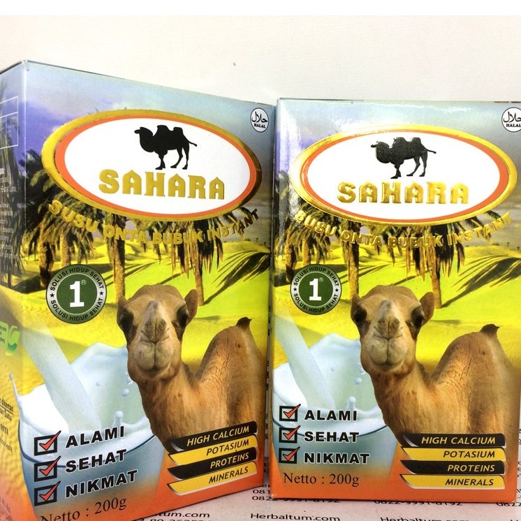 

Sahara Susu Onta Enak Plus Colostrum Original , Susu Unta Sahara Asli