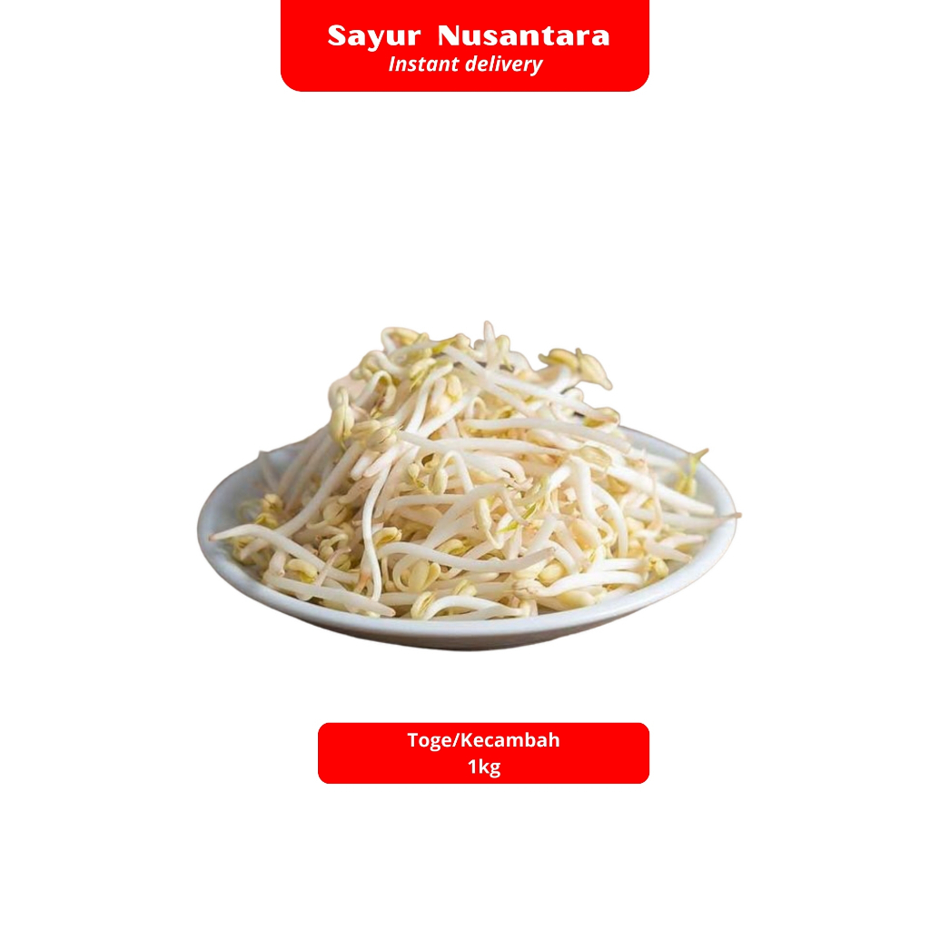 

Toge / Kecambah 1kg - Sayur Nusantara