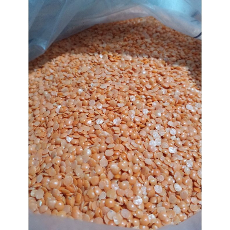 

500 GRAM KACANG LENTIL / MASOOR DHAL / MIJU-MIJU