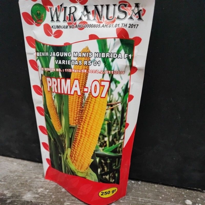 Benih jagung manis F1 Prima-07 250gr