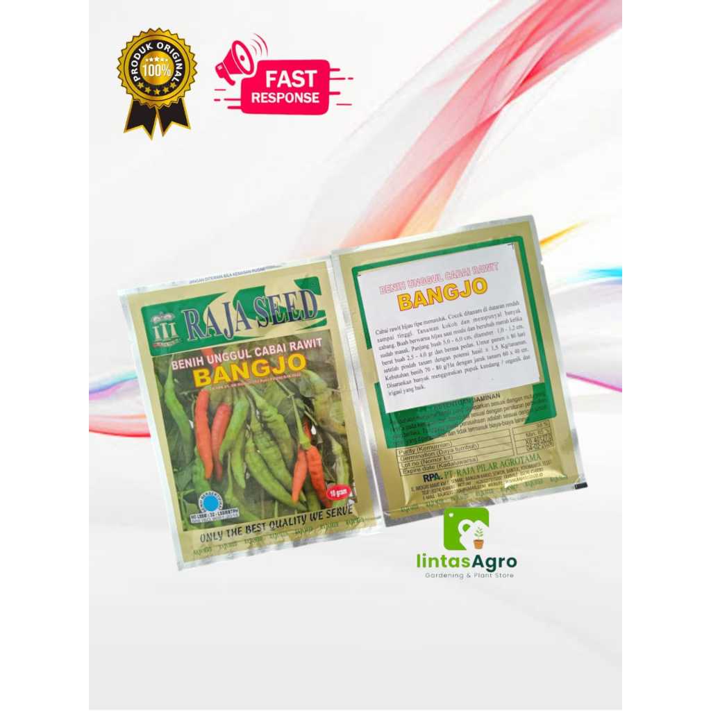 Benih Unggul Cabe Rawit BANGJO 10 Gram (+-1200 biji) - Cabe Rawit merak Hijau Merunduk super lebat