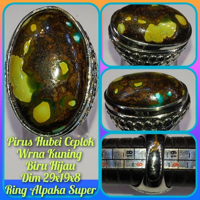 Pirus Persia dan Hubei HQ