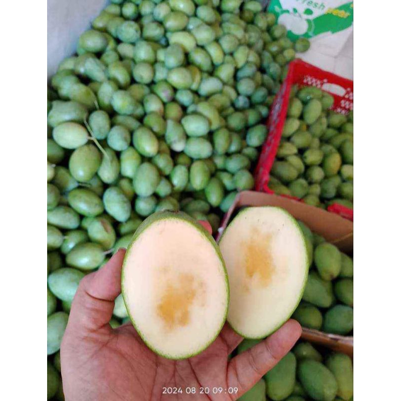 

Buah Mangga Manalagi Situbondo Rujak / konsumsi Manis 1kg