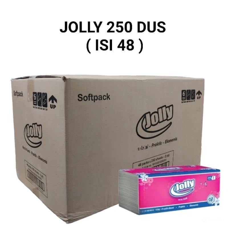 DUS Tisu Tissue Jolly 250 Sheet DUS ( ISI 48 )