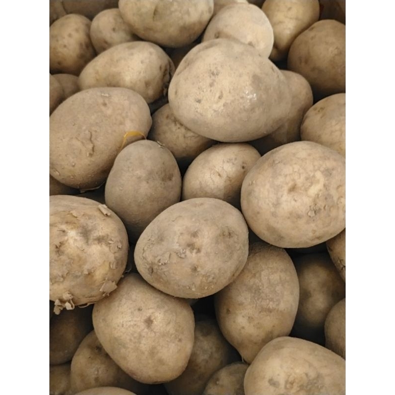 

kentang 8000/250grm
