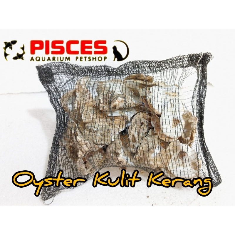 Filter Media Oyster Kulit Kerang untuk Air