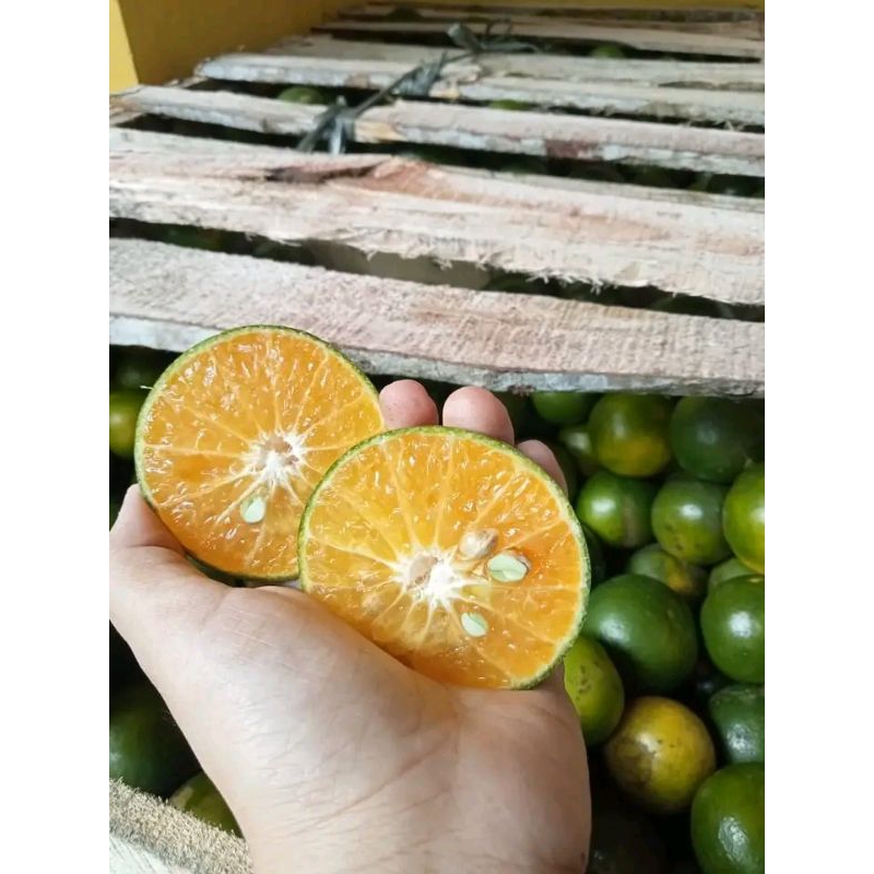 

jeruk peras 1kilo