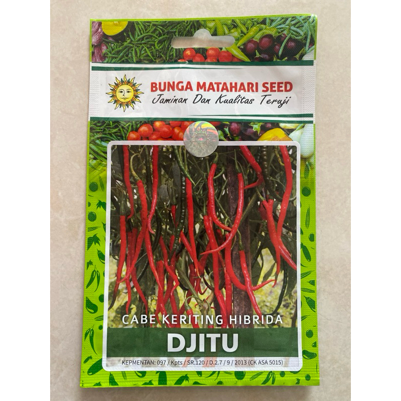 BIBIT BENIH CABE KERITING HIBRIDA DJITU ISI 50 BUTIR MERK BUNGA MATAHARI SEED