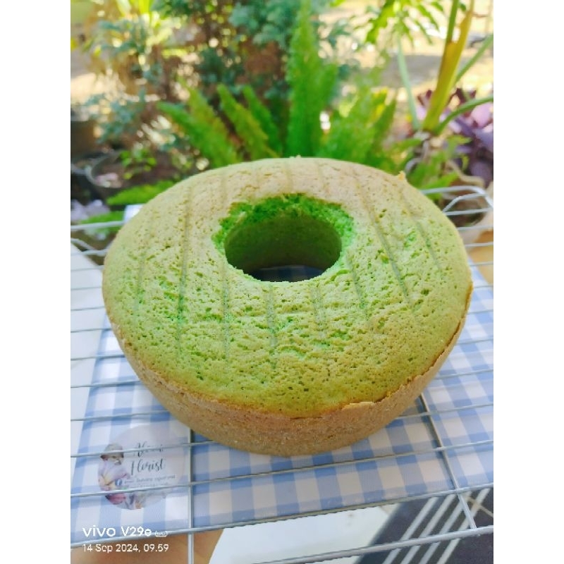 

Alexa.Florist – BOLU PANDAN PANGGANG (polos tanpa Cream)