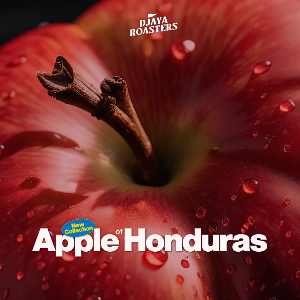 

Apple of Honduras - Washed Single Origin Filter Coffee