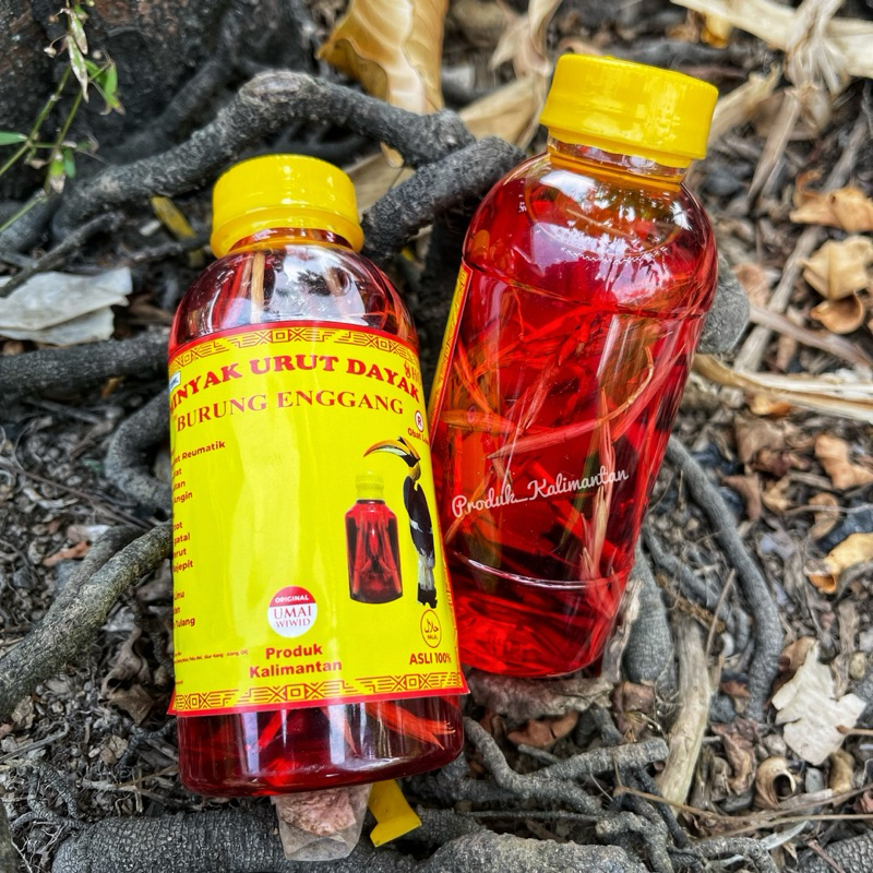 Minyak Urut Dayak Burung ENGGANG Extra Panas 200 ml