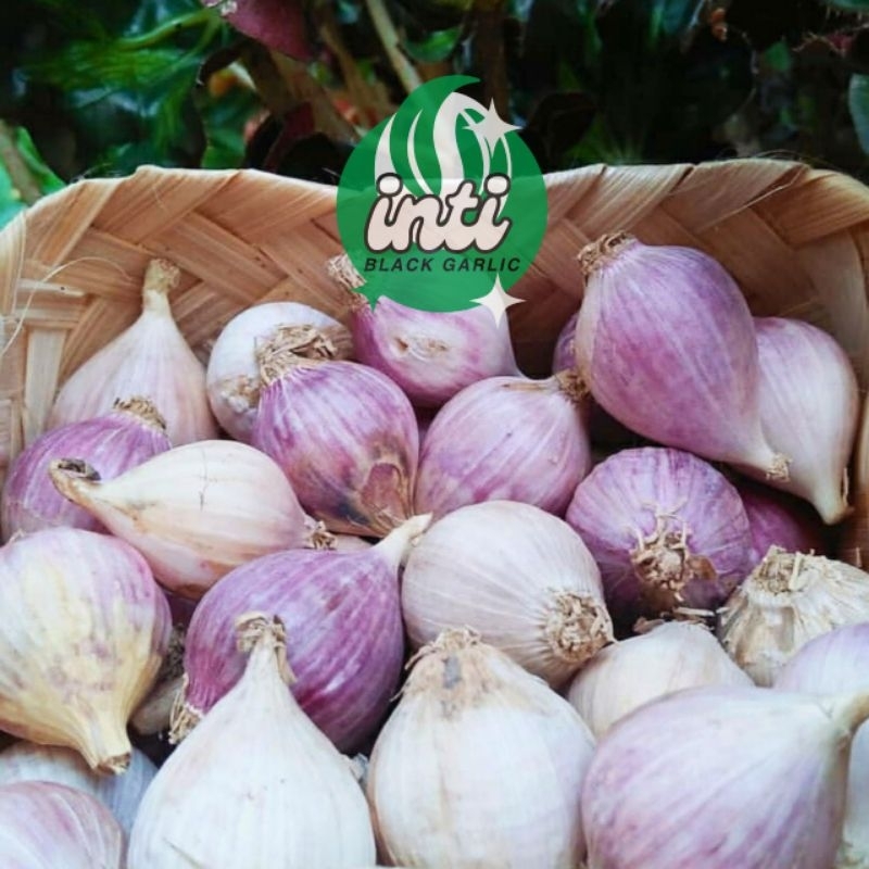 

Bawang Putih Tunggal Super 100gr Single Garlic Bawang Lanang Fresh
