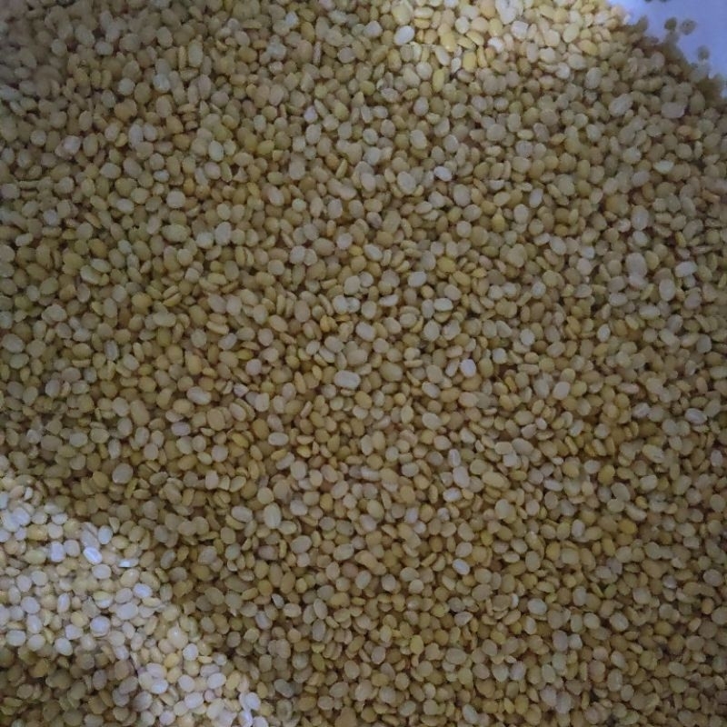 

JKL Kacang Hijau/ijo Kupas Burma kemasan 25kg