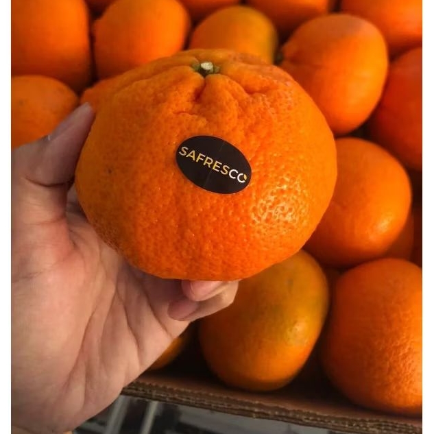 

Jeruk Nadorcott Afrika Rosle Citrus/kg