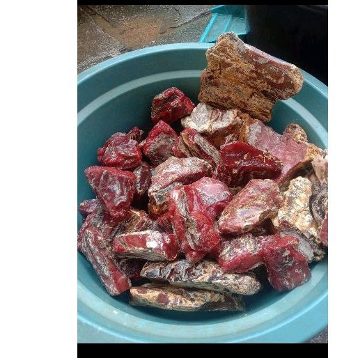 kemenyan hutan, damar merah, damar batu kemenyan jin