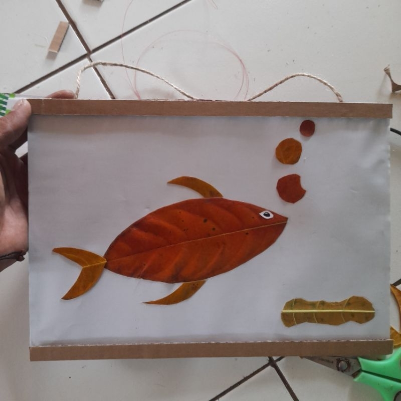 

Kolase daun kering Kolase ikan