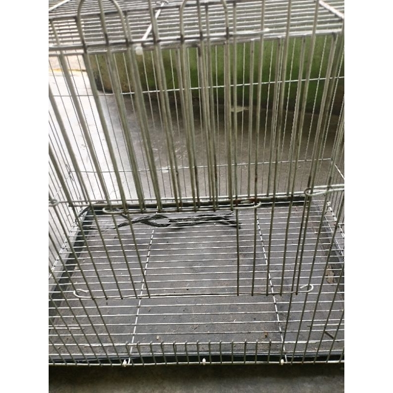 kandang kucing