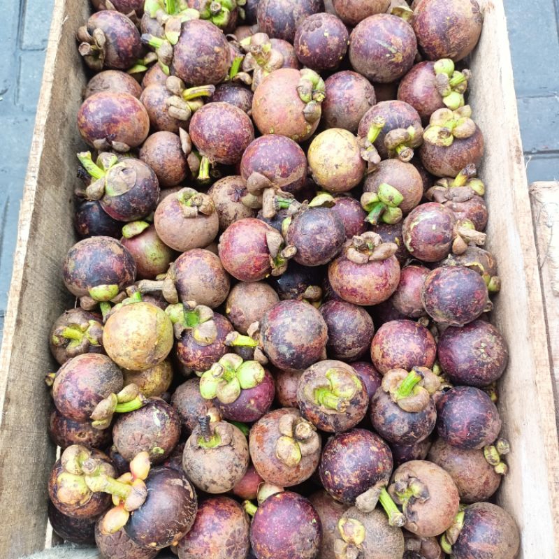 

Buah manggis 1 kg