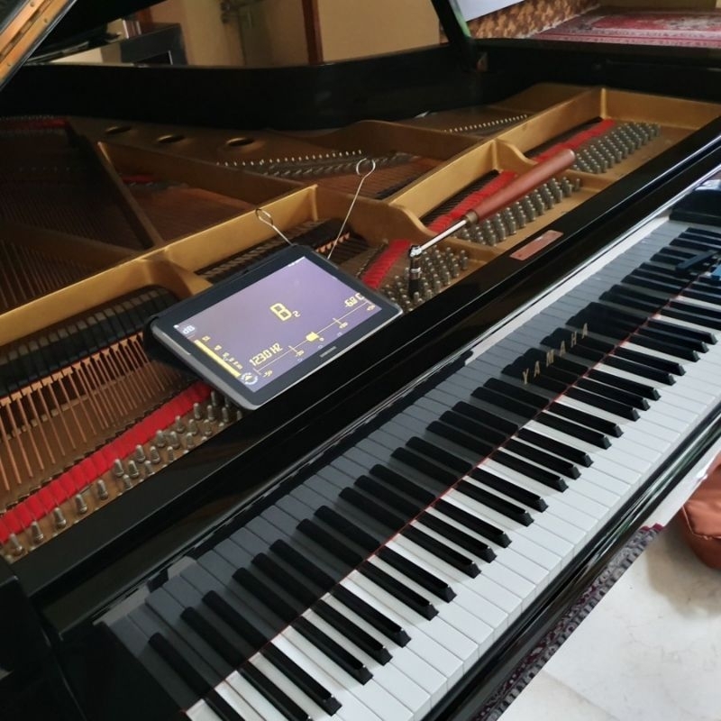 Stem Piano Tuning Piano Service Piano