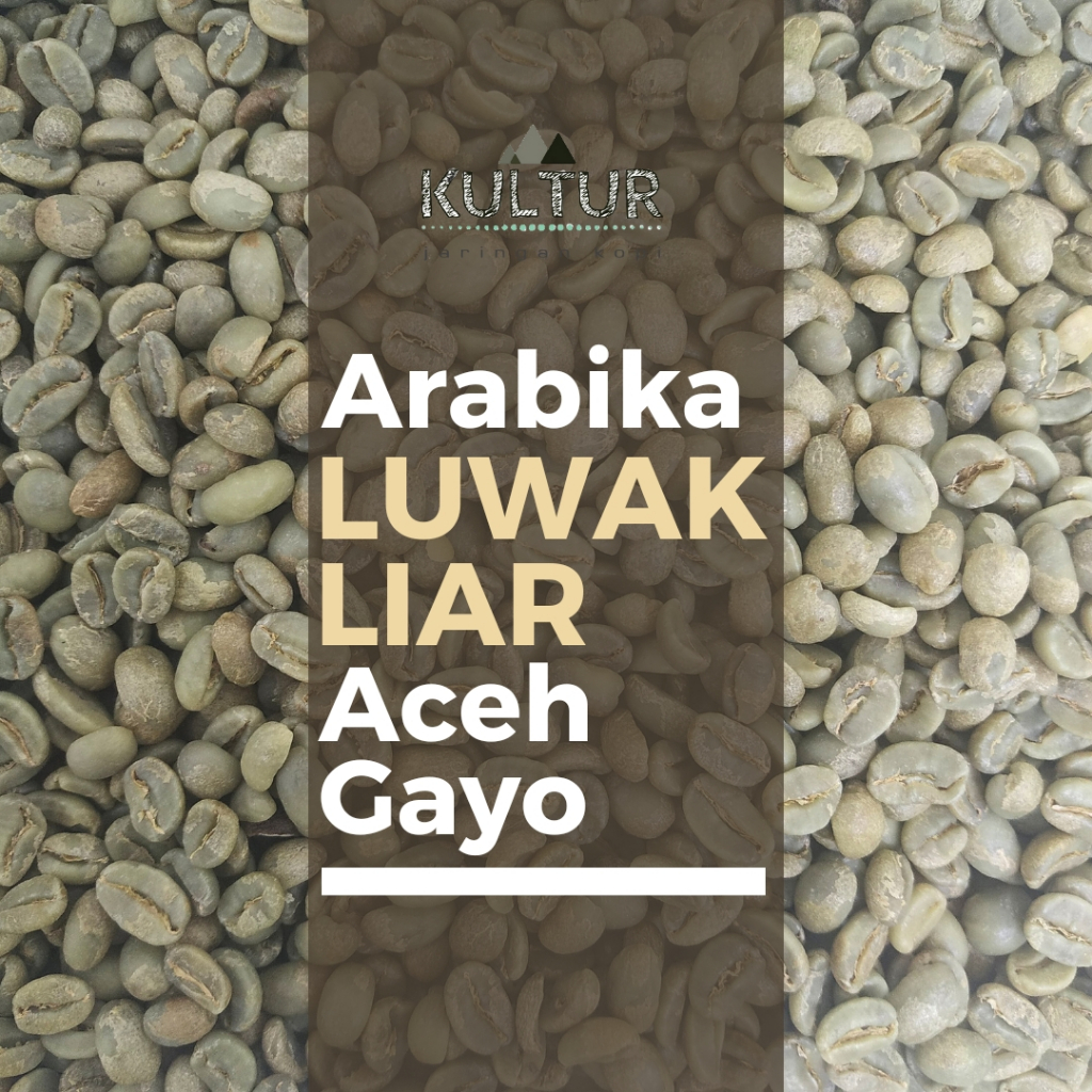 

GREEN BEAN ARABIKA LUWAK LIAR ACEH GAYO BIJI KOPI MENTAH NETTO 1 KG