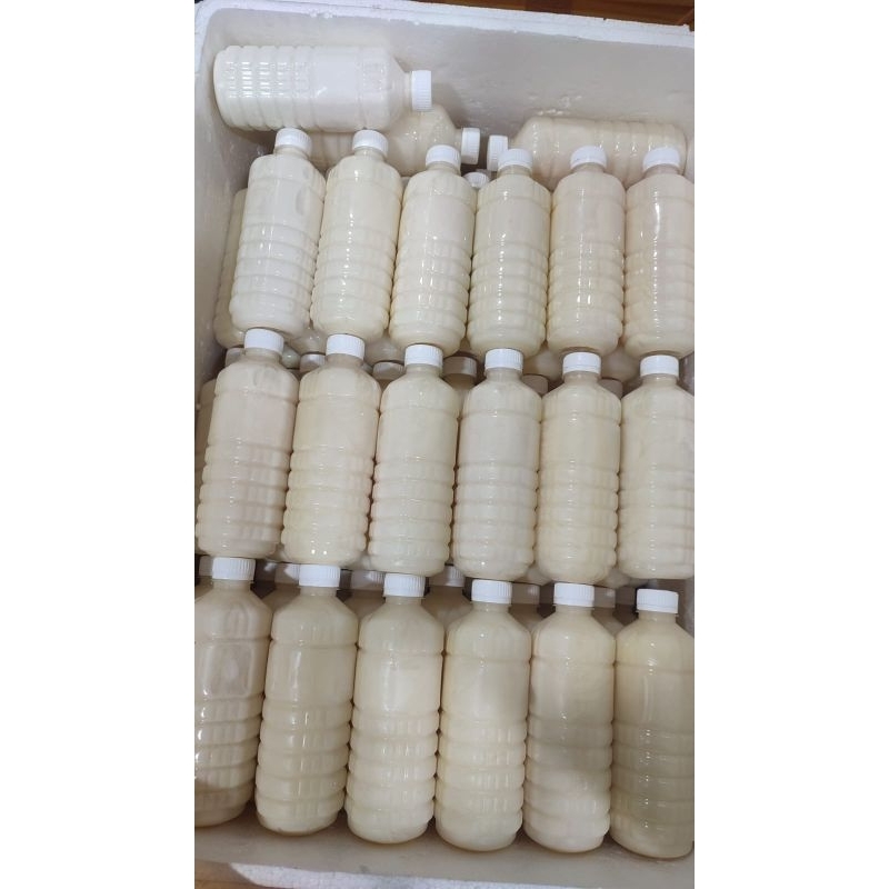 

susu kambing etawa