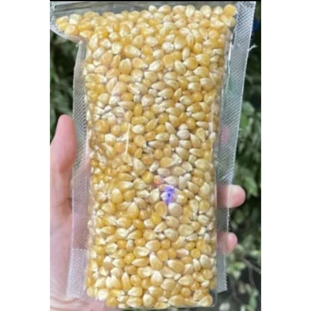 

jagung bahan popcorn 100 gram