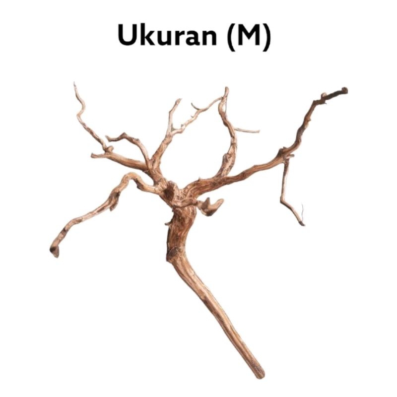 Kayu Akar Rasamala Dekorasi Hiasan Aquarium Aquascape