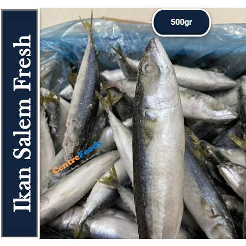 

Ikan Kembung Salem Sarden - Ikan Mackarel Fresh | 500gr [ Harga Per 0.5 Kg ]