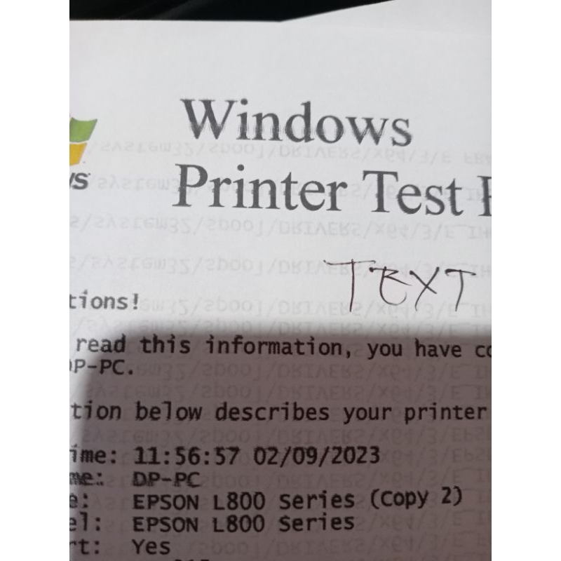 printer Epson L800