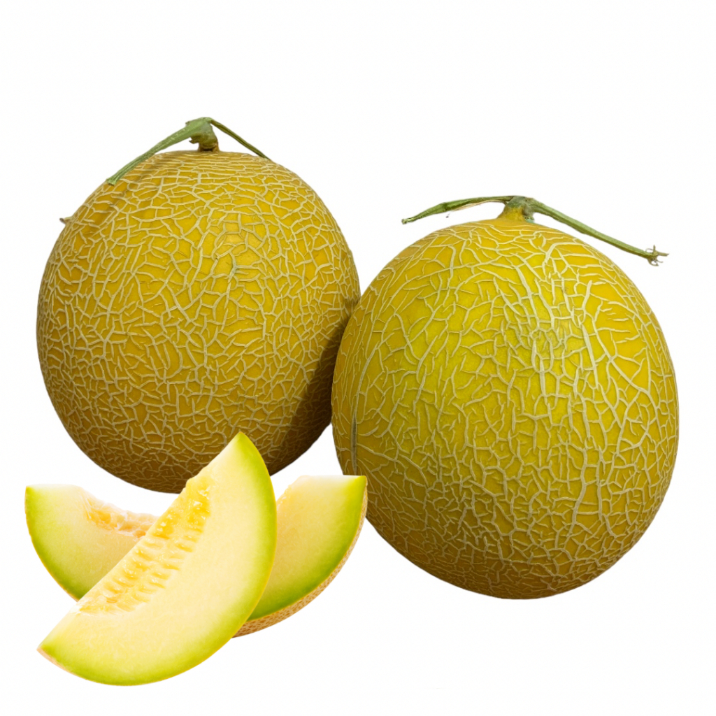 

Buah Melon Segar Melon Fresh Per buah