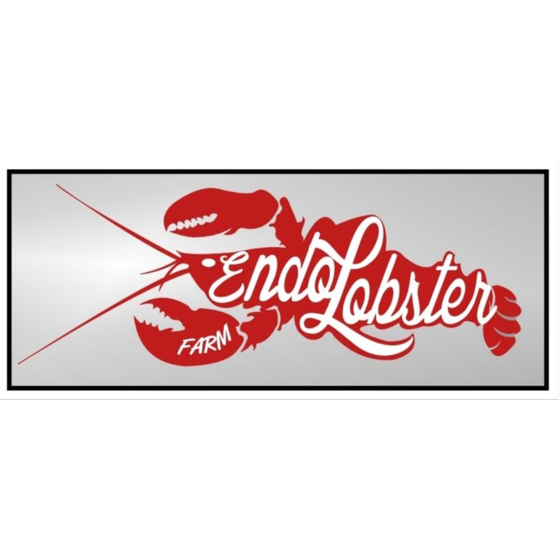 

Bibit Lobster Air Tawar ukuran 2 inch atau 5 sentimeter (isi 15 ekor) bonus 2 ekor lobs 1 inch, PACKING GABUS STEROAFOAM