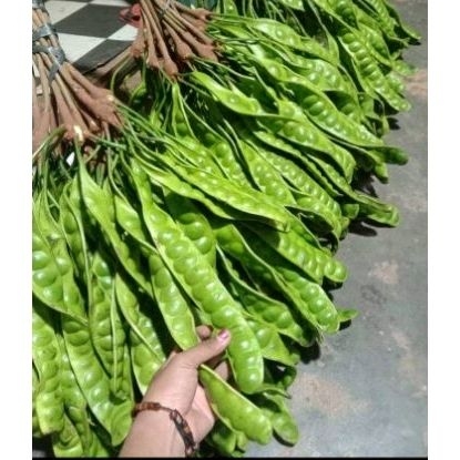 

Pete super 12papan/pete pari/Pete lalapan/penambah nafsu makan