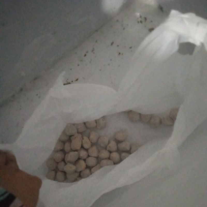 

cilok