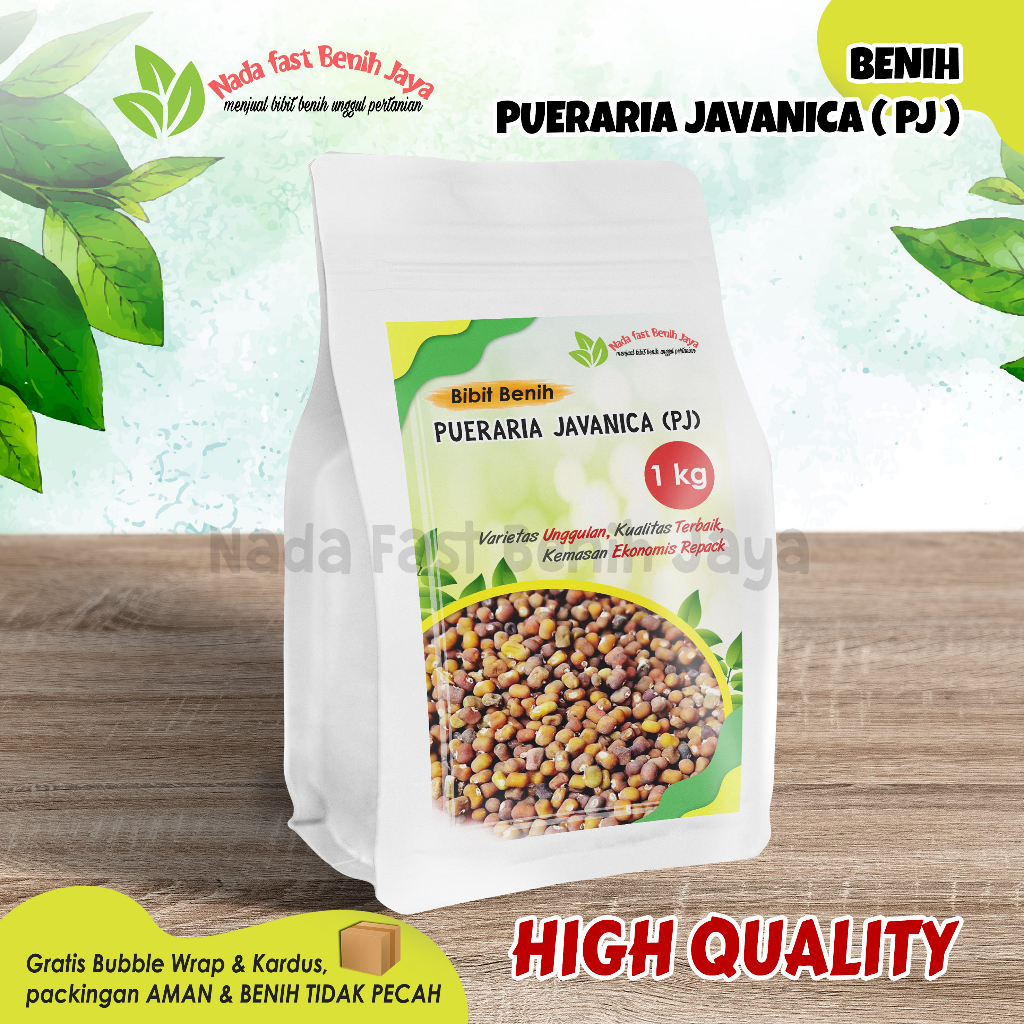 Benih Pueraria Javanika PJ 1 kg / Bibit kacang kacangan PJ / Cover Crops benih kacang kacangan