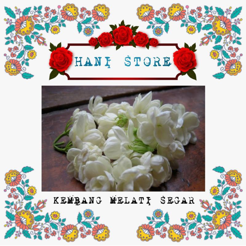 BUNGA SEGAR MELATI 500 GRAM