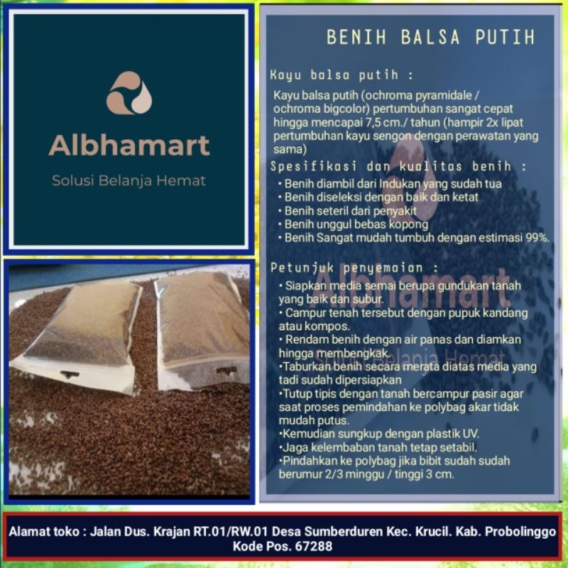 biji benih bibit kayu balsa putih termurah paket mini mulai 10g hingga 50g