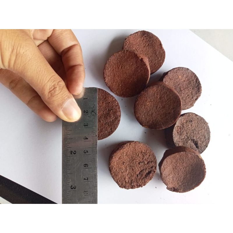 gambier sireh uncaria gambier