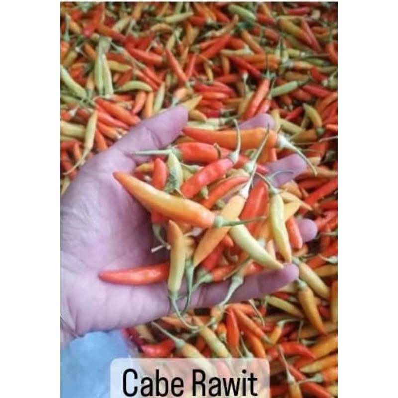 cabe rawit setan 1 kg
