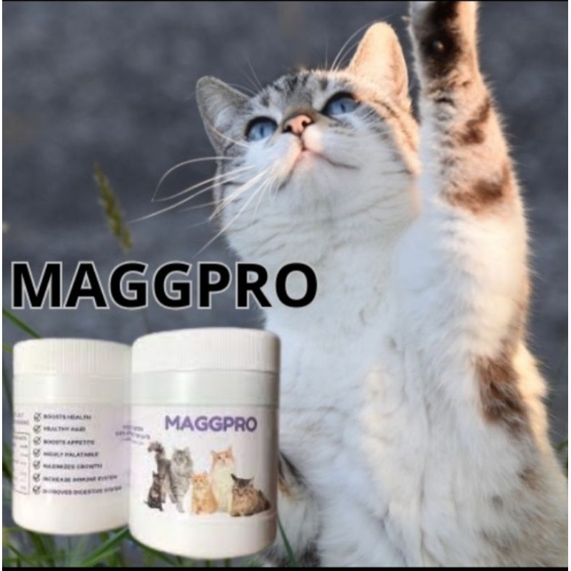 MAGGPRO VITAMIN KUCING